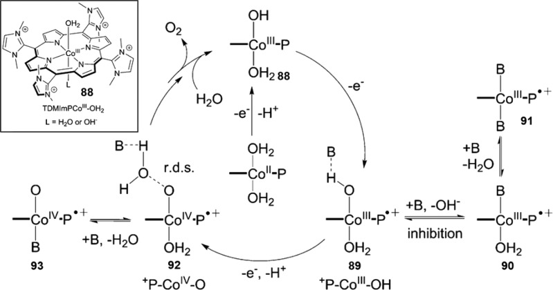 Figure 49