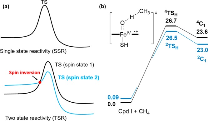 Figure 31