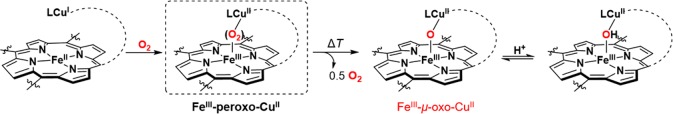 Scheme 15