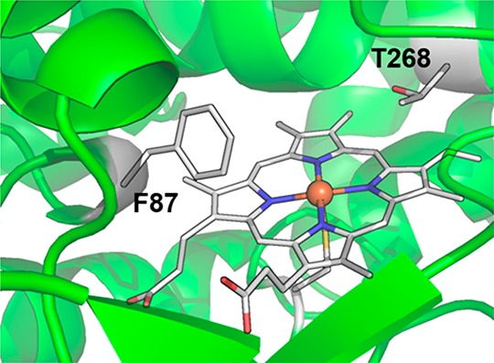 Figure 13