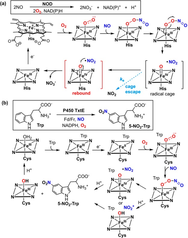 Figure 58