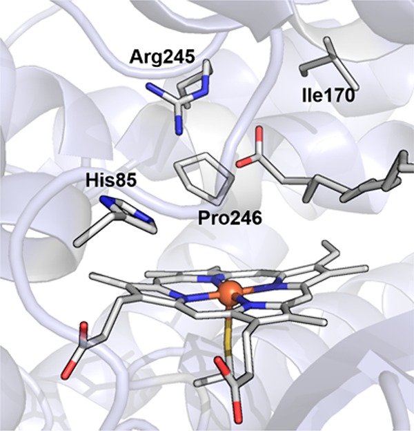 Figure 40