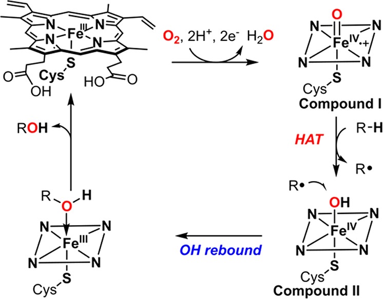 Figure 18