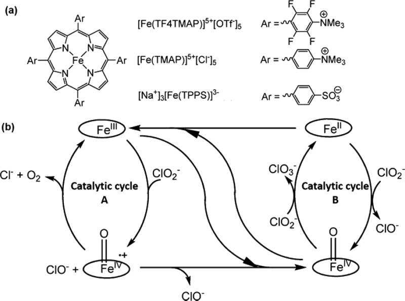 Figure 51