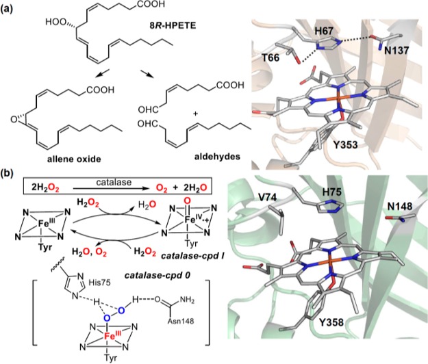 Figure 56