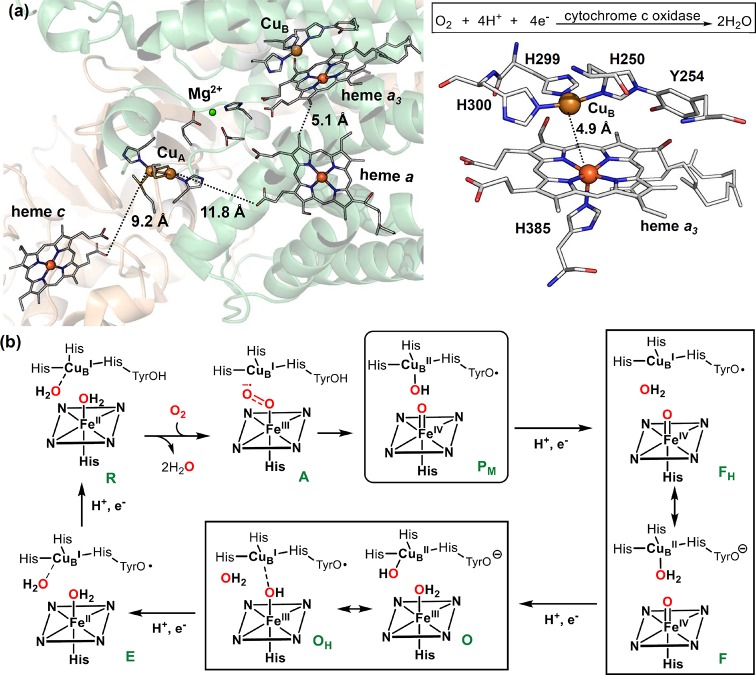 Figure 59