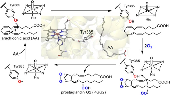 Figure 54