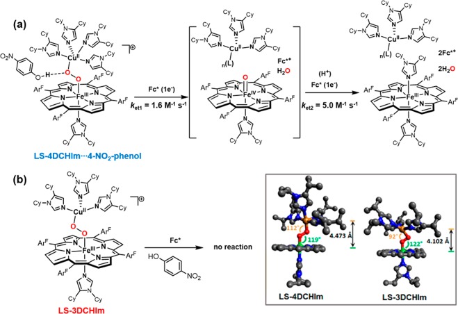 Figure 64