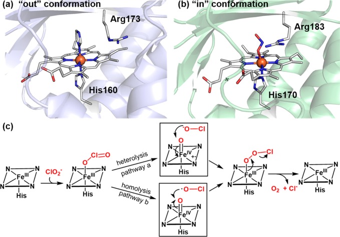 Figure 50