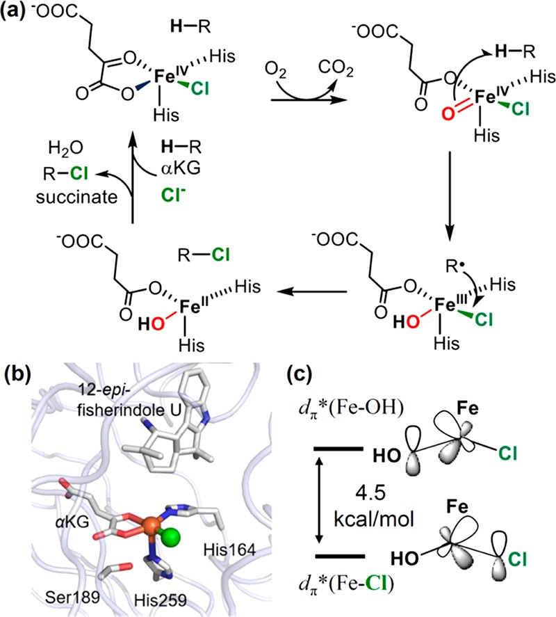 Figure 44