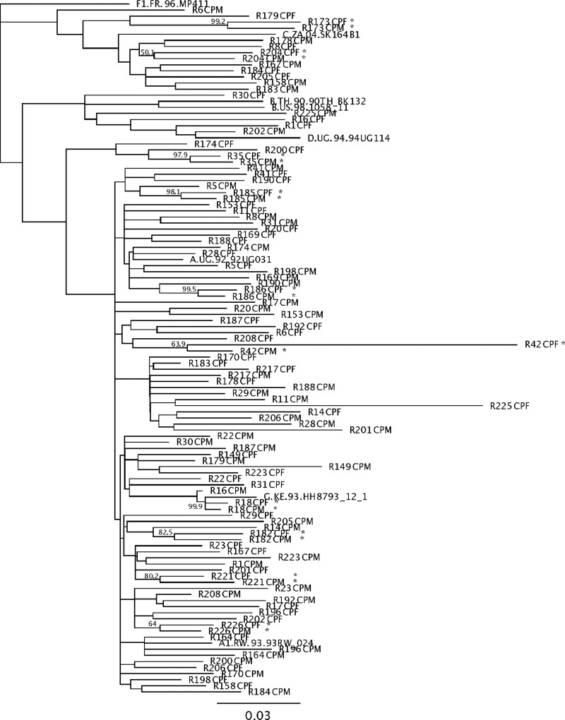 FIG. 2.