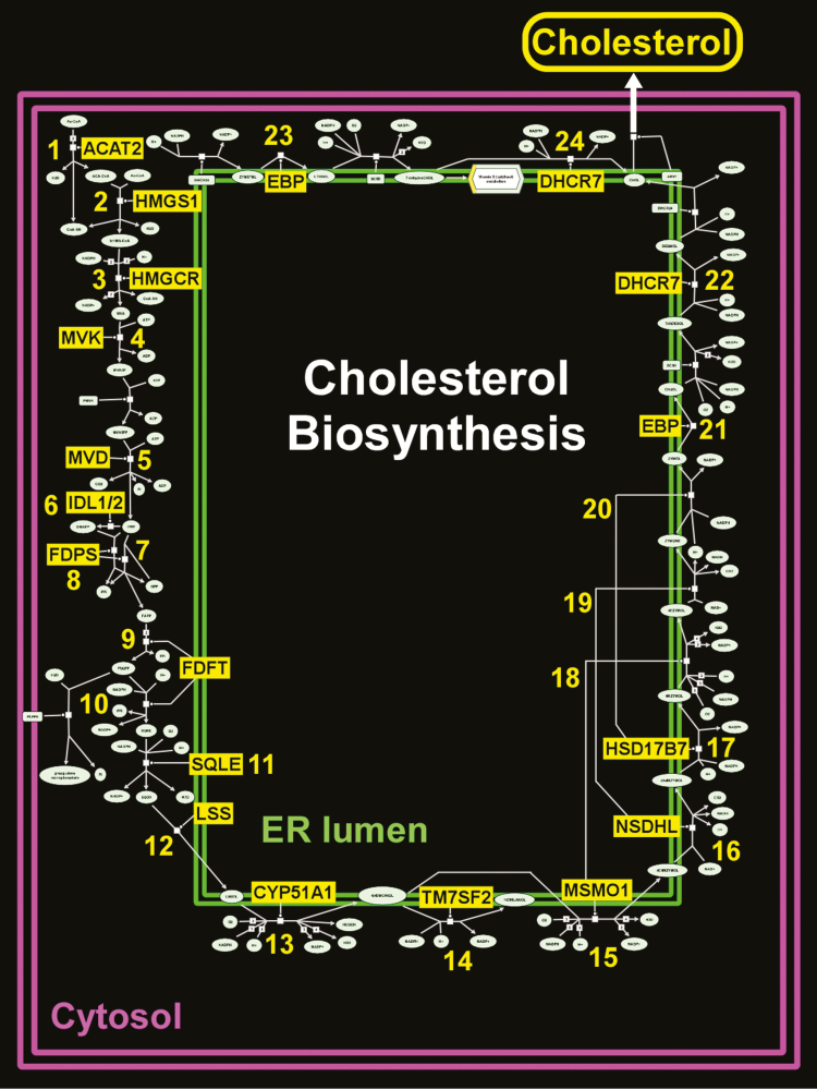 Figure 6.