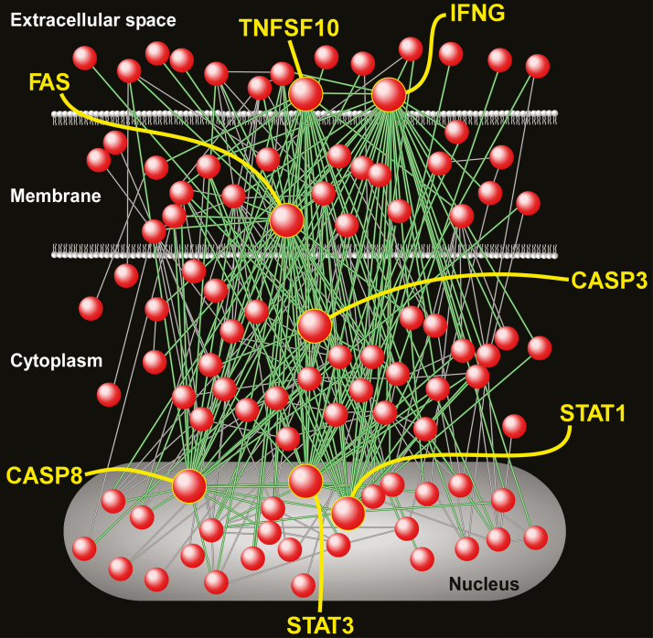 Figure 4.