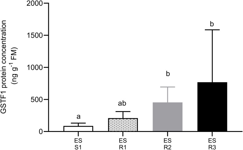 FIGURE 3