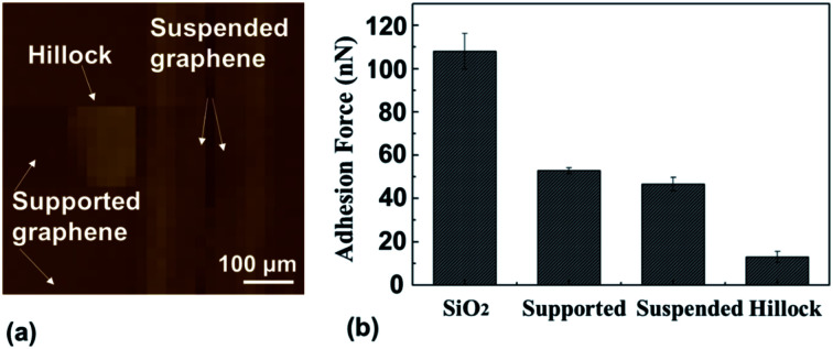 Fig. 9