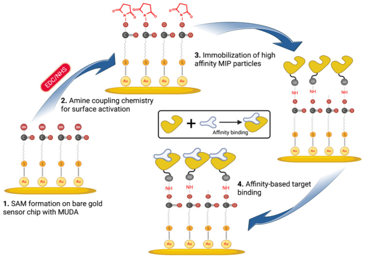 Scheme 2