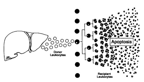 Figure 40