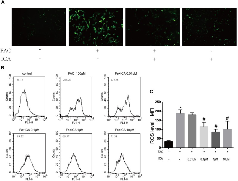 FIGURE 3