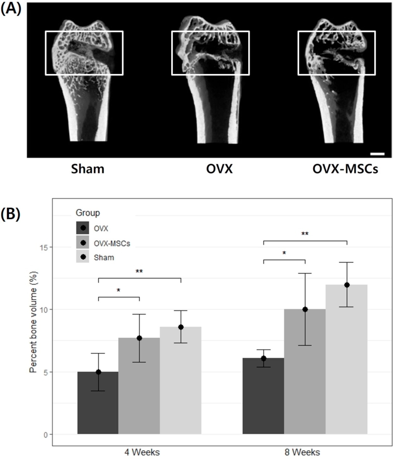 Fig. 2