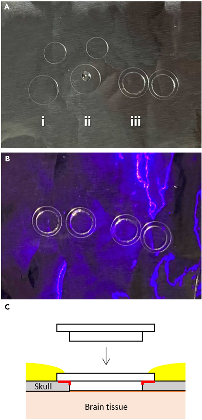 Figure 2