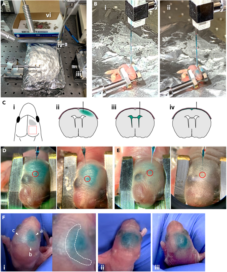 Figure 3