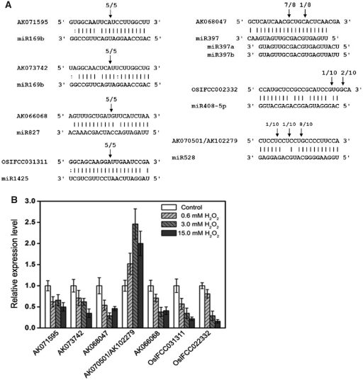 Figure 5.