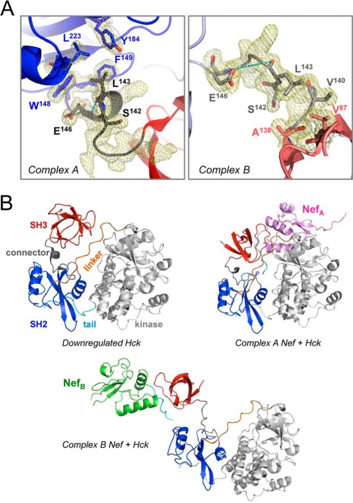 FIGURE 3.