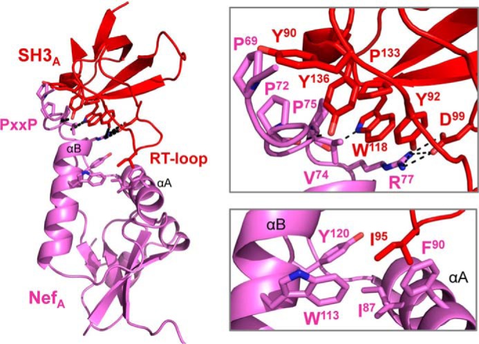 FIGURE 6.