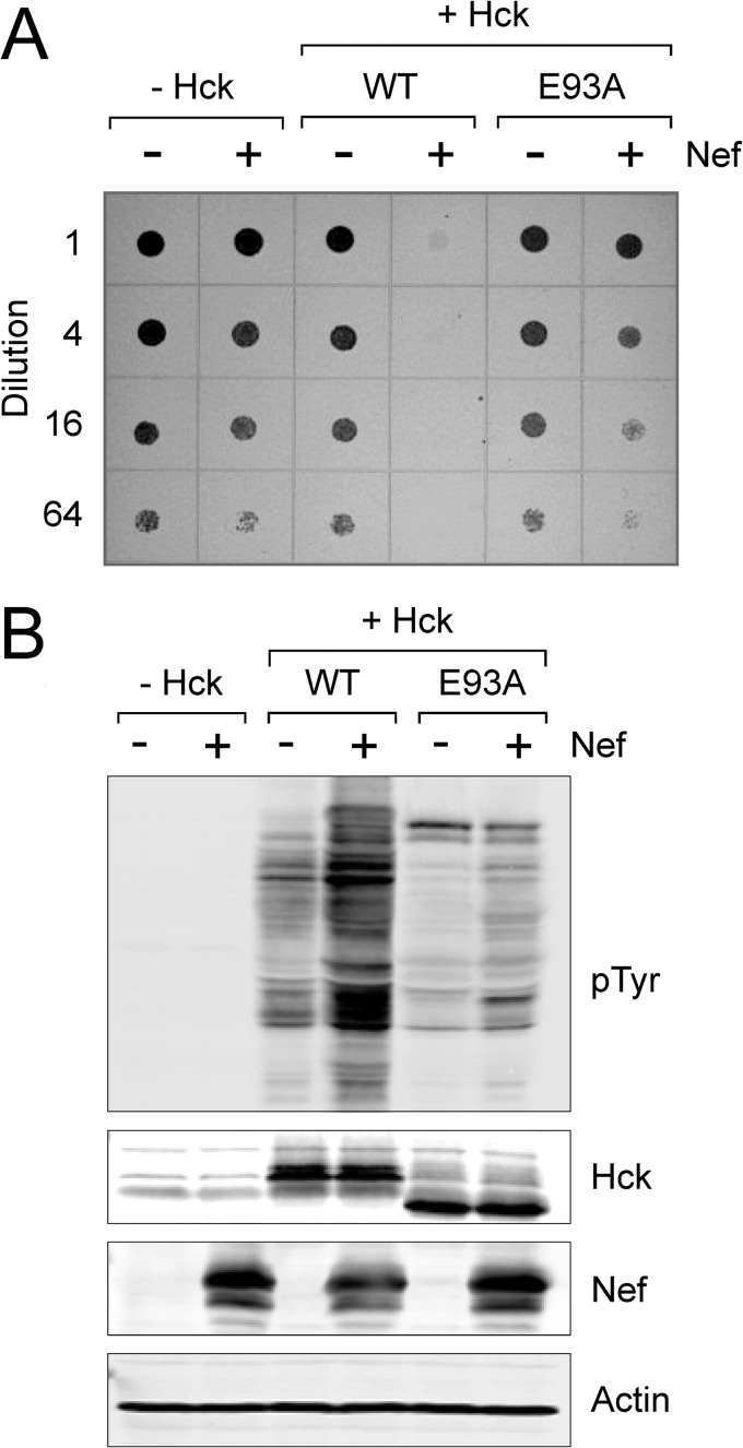 FIGURE 11.