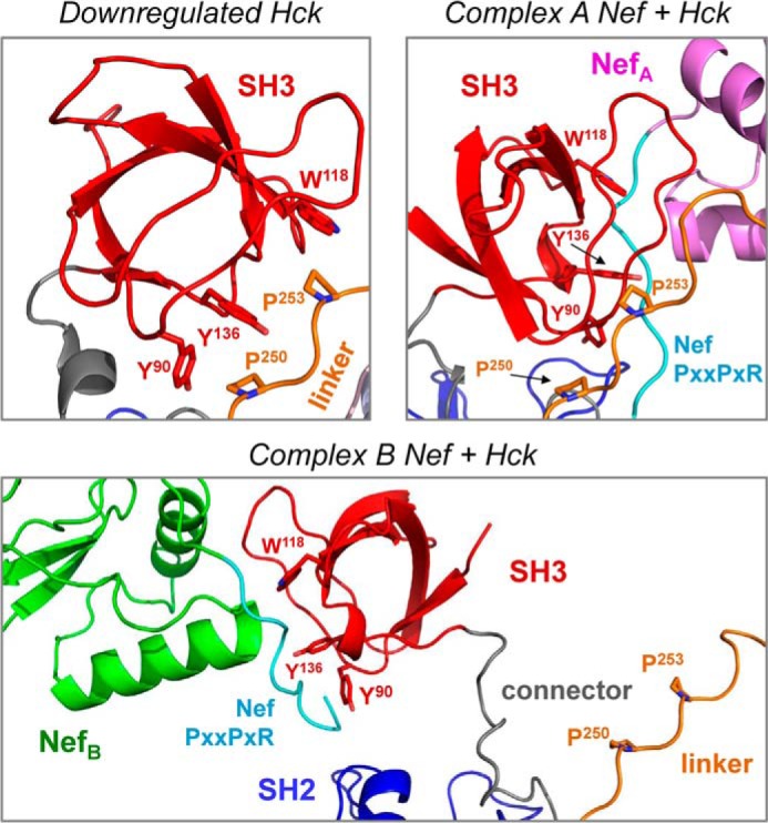 FIGURE 4.