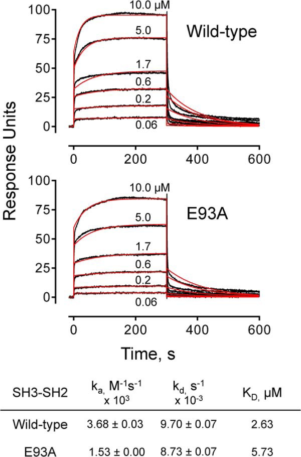 FIGURE 9.