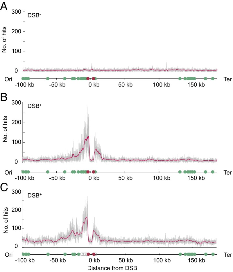 Fig. 3.