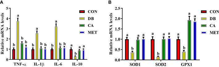 Figure 4