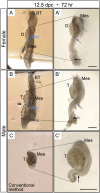Fig. 3.