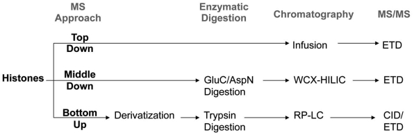 Fig. (1)