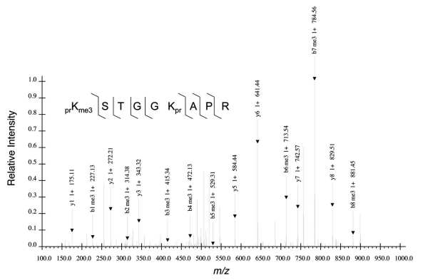 Fig. (2)