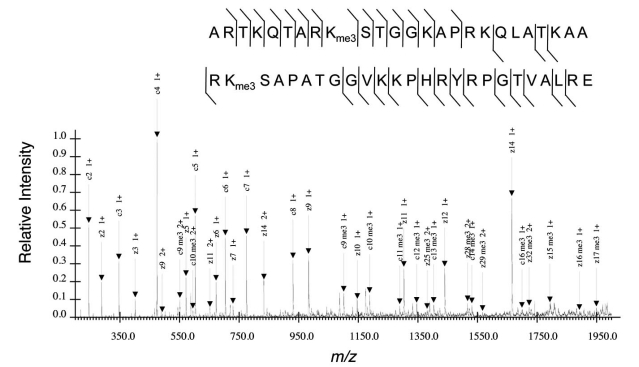 Fig. (4)