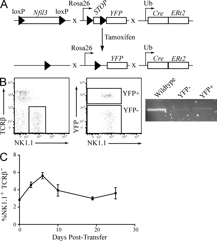 Figure 7.