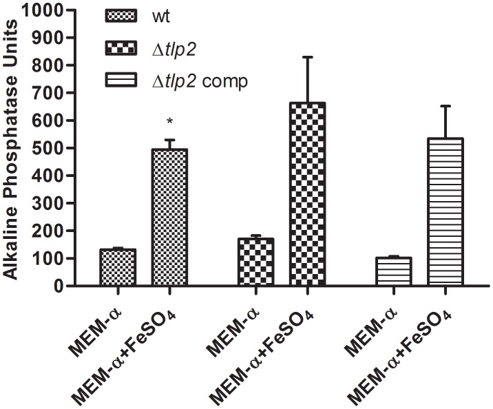 FIGURE 4