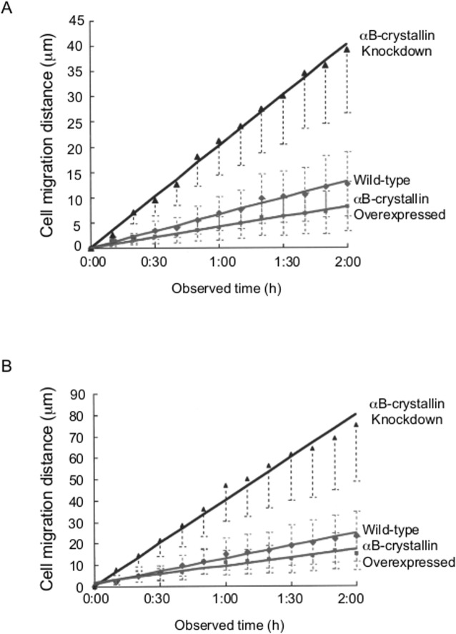 Fig 10