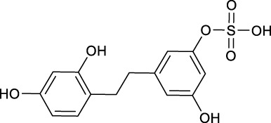 graphic file with name FCHEM_fchem-2022-981173_wc_tfx5.jpg