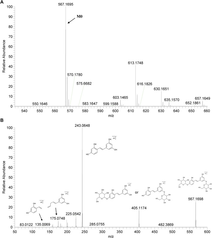 FIGURE 3