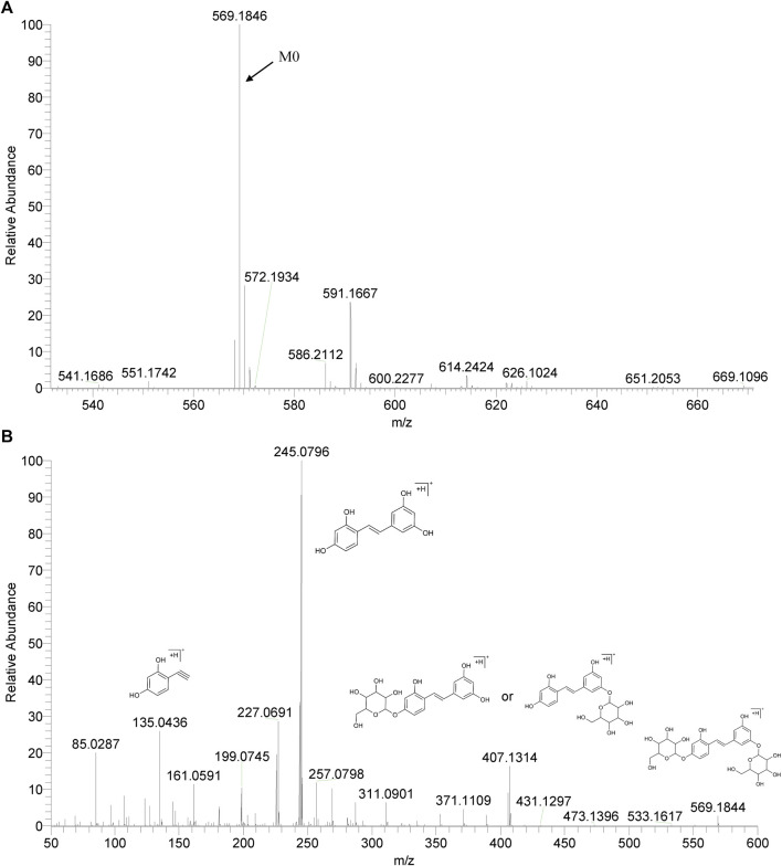 FIGURE 2