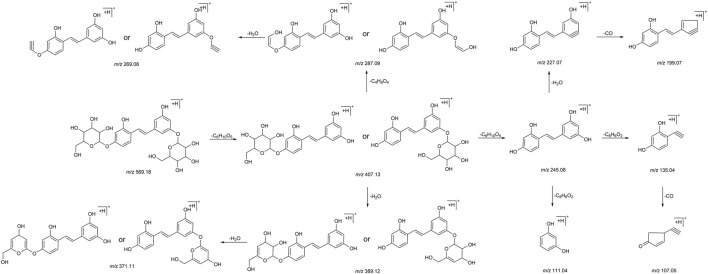 FIGURE 4