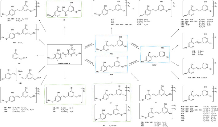 FIGURE 7