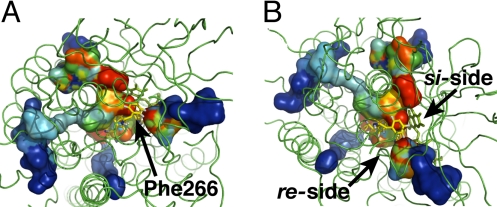 Fig. 3.