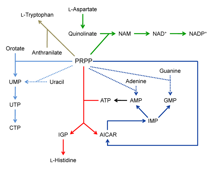 Figure 3.