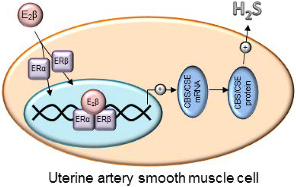 Fig. 6: