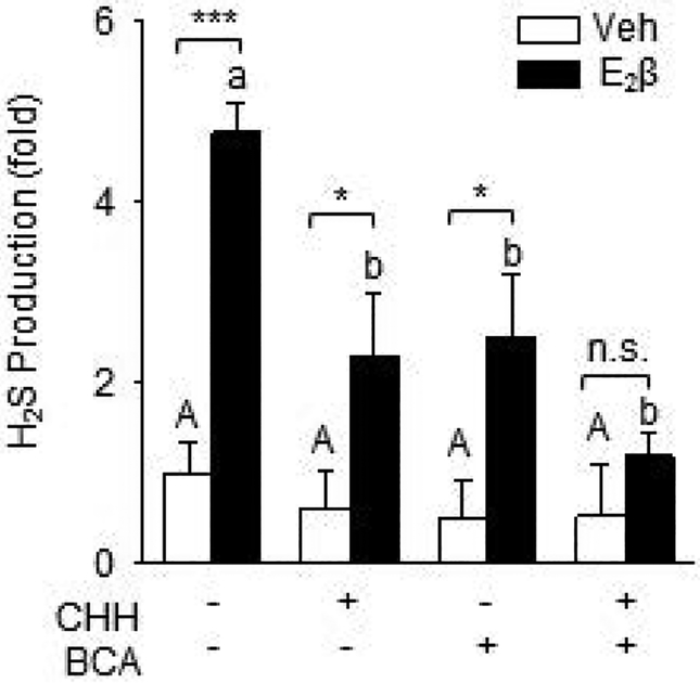 Fig. 2: