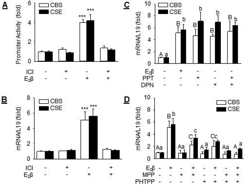 Fig. 4: